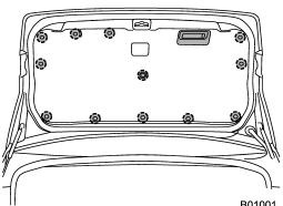 2. Remove the trunk trim lining by removing the 12 clips and the trunk trim handle.