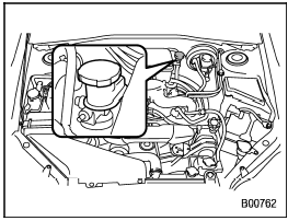 Checking the fluid level