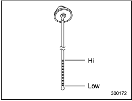 Washer fluid level gauge