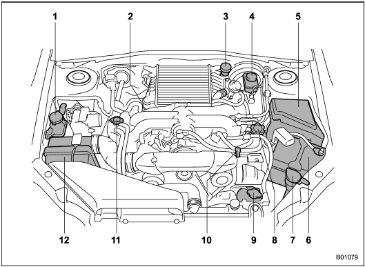 1) Power steering fluid reservoir