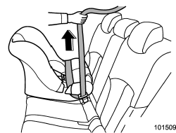 4. Take up the slack in the lap belt.